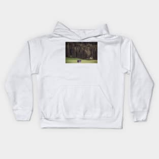 Isolated cabin in the woods in Italy Kids Hoodie